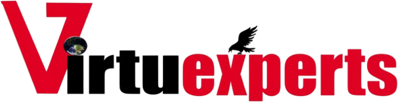 virtuexperts.com
