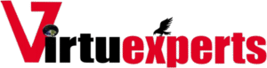 virtuexperts logo